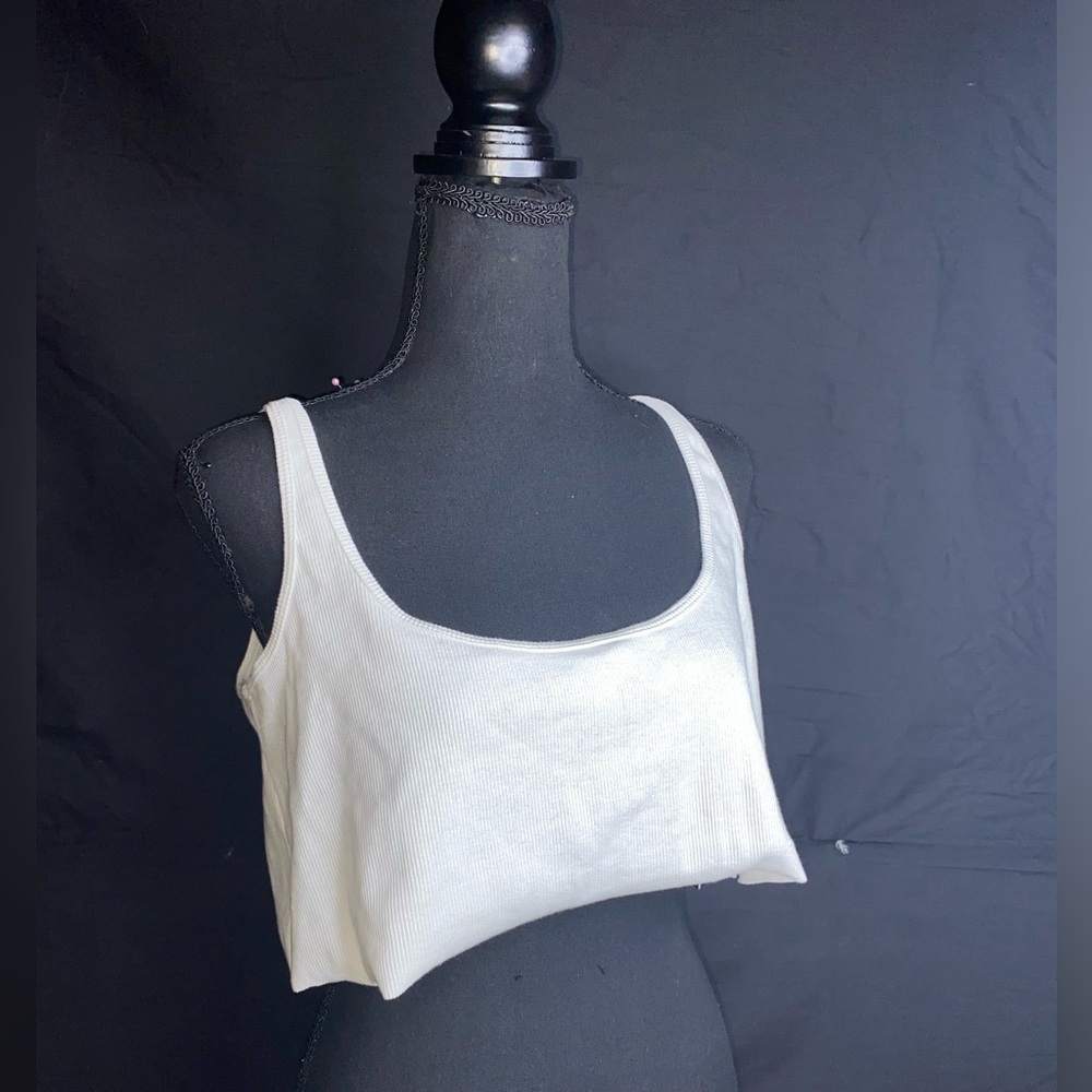 Cutoff Crop Top